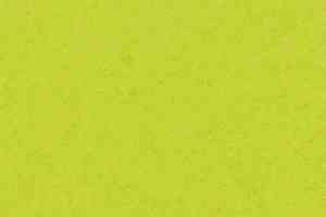 Линолеум Forbo Sarlon Material 15dB 248T4315 lime green canyon фото  | FLOORDEALER